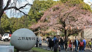 年間を通して楽しめる公園