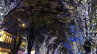 日中は紅葉、夜はライトアップ