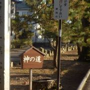 御穂神社への参道