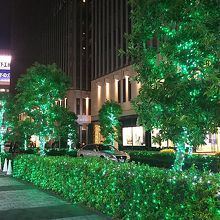 街路樹もイルミネーション♪