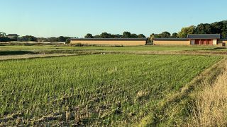 奈良時代の都の跡地