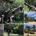 ニッコーグアムのビーチから5分ほど歩いたところに旧日本軍の大砲が残されている