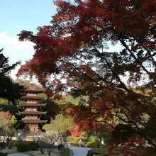 香山公園と瑠璃光寺