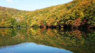 蔦沼、完璧な水鏡でした ♪