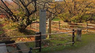 観音堂の手前にあります。