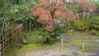 通年で開放されているみたいです。