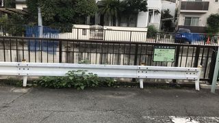 川沿いの散歩道