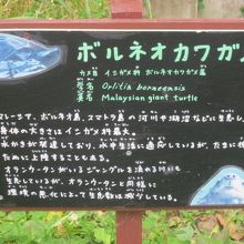 手書きの解説板にも愛情が感じられますね！