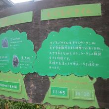 もぐもぐタイムは1日1回行われています