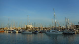 大金持ちのヨットが並ぶ