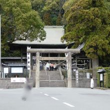 ちょっと目立たないかも。