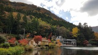 紅葉が綺麗でした。