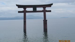 海に浮かぶ鳥居が素敵です