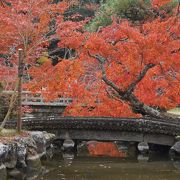 紅葉の時期にぜひ