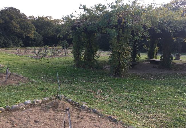 浜離宮恩賜庭園 ボタン園 クチコミ アクセス 営業時間 汐留 フォートラベル
