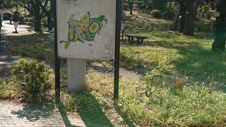 スポーティな公園