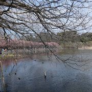 とても物静かな公園