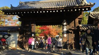 速報　南禅寺の紅葉　2019/11/21