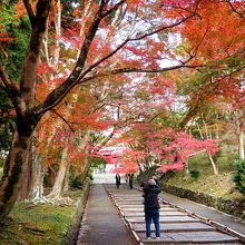 表の道を通って毘沙門堂へ。こっちの道も近い。