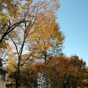 西池袋公園