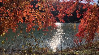 渡良瀬渓谷の紅葉