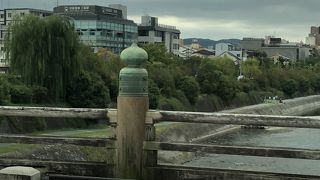 傷跡見つけられず