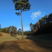 ホテルの裏山にあります。