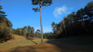 ホテルの裏山にあります。