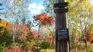 自然の恵みを飲む！　～　ニセコ名水甘露水