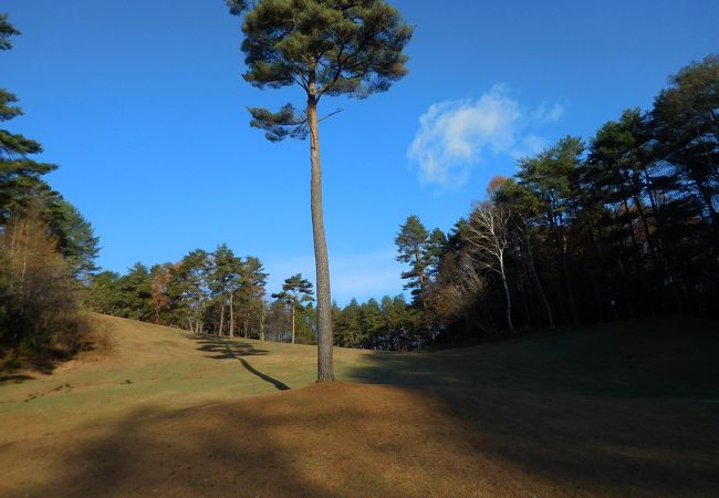 群馬県のスキー場 クチコミ人気ランキングtop23 2ページ フォートラベル