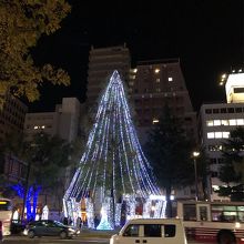 クリスマスツリー？