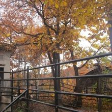 やっぱりここは晩秋の訪問が良いと思います！