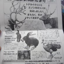 2019年10月の動物園だよりトップにも登場していました