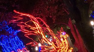 広島平和大通りはドリミネーションでキラキラ