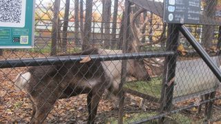 秋の訪問をお勧めしたい施設です