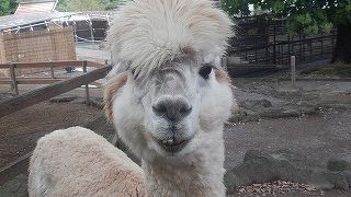 三島駅近くの自然豊かな公園