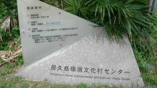 宮之浦港に着いたら立ち寄られることをオススメ