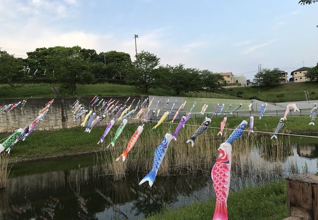公津の杜公園 クチコミ アクセス 営業時間 成田 フォートラベル