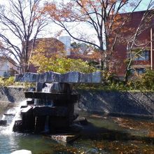 美術館前の池