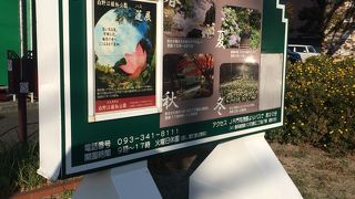 白野江植物公園 