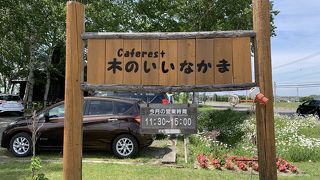 木のいいなかま