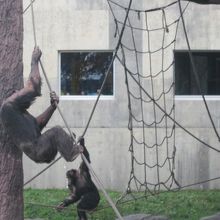 寒さの中での元気の源は何なんだろう？？？