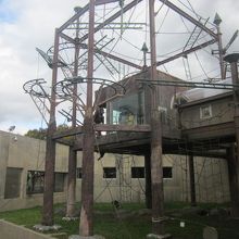 旭桧山動物園らしい行動展示型のスカイブリッジの様子