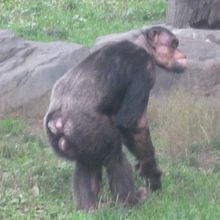 後姿に秋の哀愁を感じますね…。