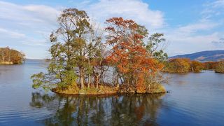 のんびりと散策できます