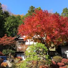 庄乃家外観。紅葉が綺麗です。