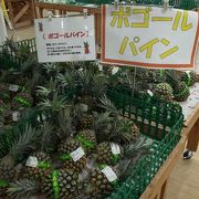 新鮮な名護の地元野菜を買える