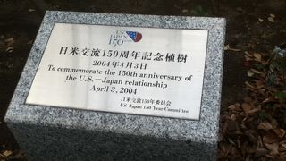 開港広場の奥にある