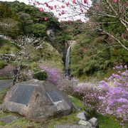 丸っこい壁をいく筋の水が滑り落ちる感じ。あまり豪快ではないですが季節で違うのかも。穴場は滝上の展望台。