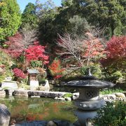 『紅葉の庭園』と『国宝の本堂や仏像』は、見ごたえあり！！